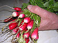 Thumbnail for version as of 21:32, 21 July 2008