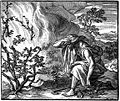 Thumbnail for version as of 19:13, 17 May 2006