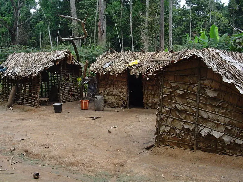 File:Pygmy house outsideview.JPG