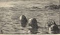 Thumbnail for version as of 03:38, 13 February 2007