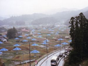 A large field with oversized blue umbrellas at regular intervals. Mountains are barely visible in the background as the fog descends.