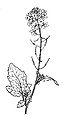 Thumbnail for version as of 22:39, 15 April 2008