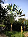 Thumbnail for version as of 18:10, 16 July 2006