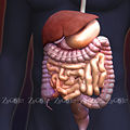 Thumbnail for version as of 14:20, 30 October 2005