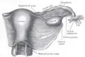Thumbnail for version as of 23:49, 16 February 2009