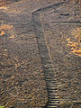 Thumbnail for version as of 21:43, 23 December 2007