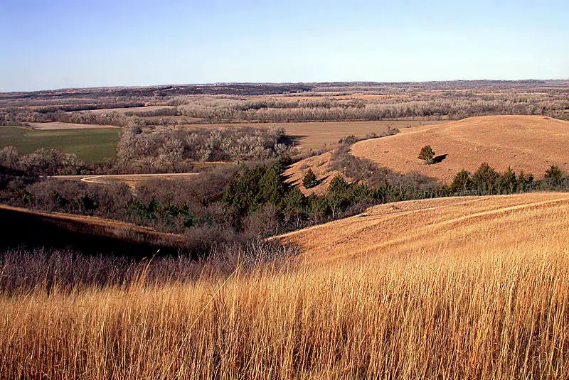 File:Konza2.jpg