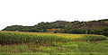 Thumbnail for version as of 04:17, 15 November 2008