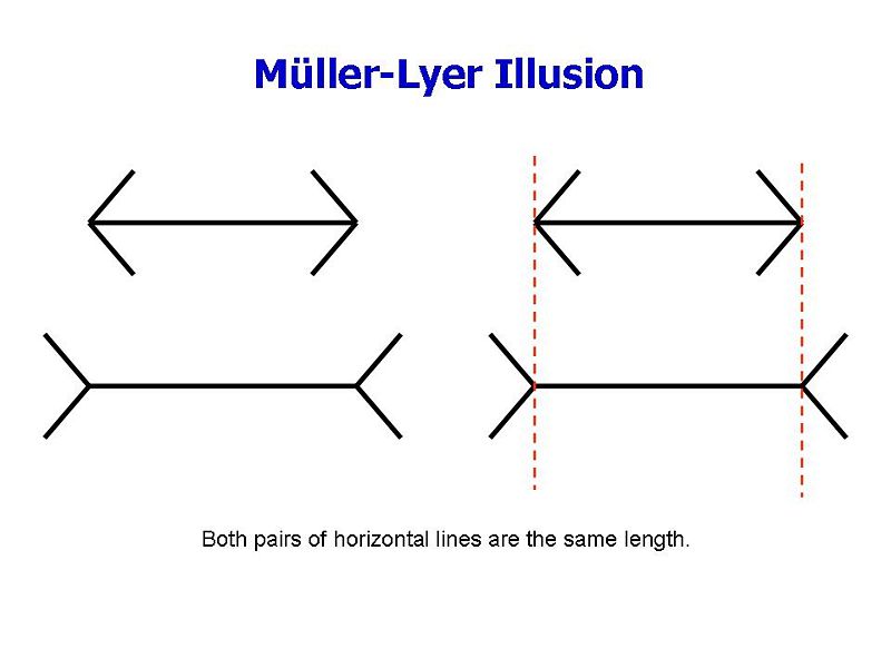 File:Muller-lyer.JPG