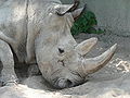 Thumbnail for version as of 20:38, 28 July 2007