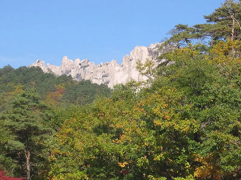File:Sorak5.jpg