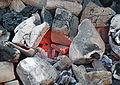 Thumbnail for version as of 19:40, 14 February 2009