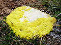 Thumbnail for version as of 01:19, 15 November 2008