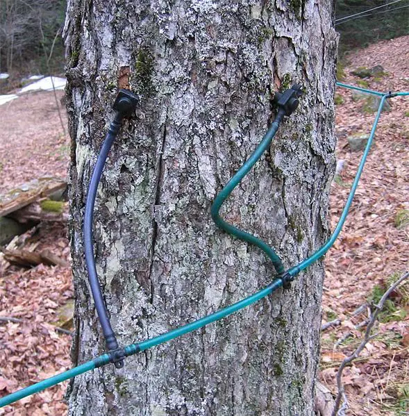 File:Sap plastic tubing.jpg