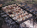 Thumbnail for version as of 00:04, 16 February 2009