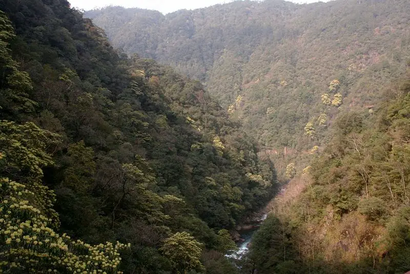 File:Wuyishan naturereserve.jpg