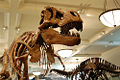 Thumbnail for version as of 20:53, 19 April 2008