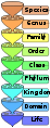 Thumbnail for version as of 21:29, 31 August 2007