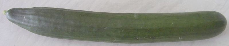 File:Cucumber1.jpg