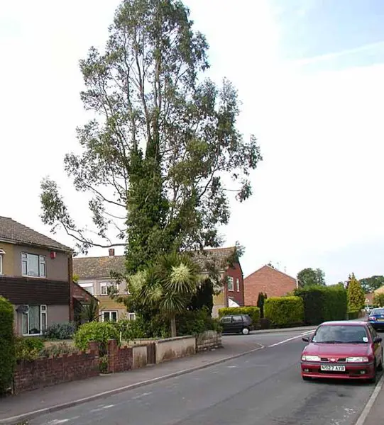 File:Euc.uk.600pix.jpg