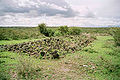 Thumbnail for version as of 15:55, 25 May 2006