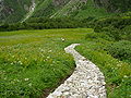 Thumbnail for version as of 22:17, 29 October 2008