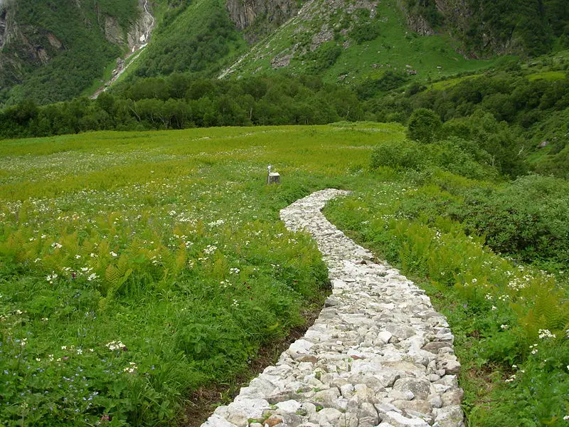 File:Legge grave.JPG
