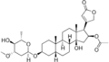 Thumbnail for version as of 22:27, 11 December 2008