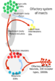 Thumbnail for version as of 03:02, 4 December 2006