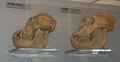Thumbnail for version as of 03:42, 9 March 2007
