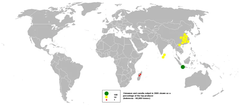 File:2005cinnamon (canella).PNG