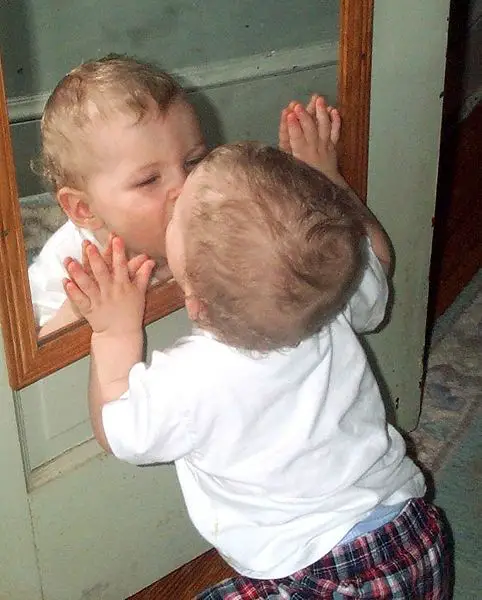 File:Mirror baby.jpg