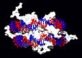 Thumbnail for version as of 06:18, 22 December 2007