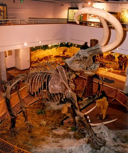 File:ColumbianMammoth CollegeOfEasternUtah.jpg