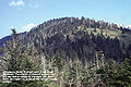 Thumbnail for version as of 06:20, 19 May 2007