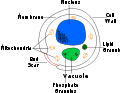 Thumbnail for version as of 14:41, 7 June 2007