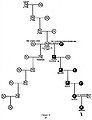 Thumbnail for version as of 00:38, 25 January 2007