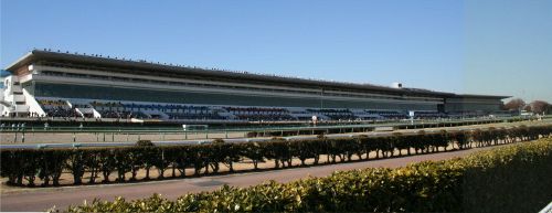 Horse Racing - New World Encyclopedia