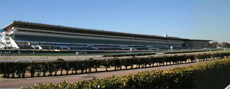 File:Nakayama Racecourse01.jpg