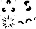 Thumbnail for version as of 16:40, 31 January 2007