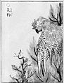 Thumbnail for version as of 16:58, 15 June 2007