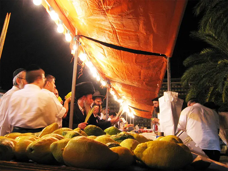 File:Sukkot fruits.jpg