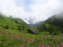 View of the Valley of Flowers