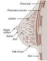 Thumbnail for version as of 16:55, 9 June 2006