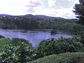 Thumbnail for version as of 01:39, 17 October 2007