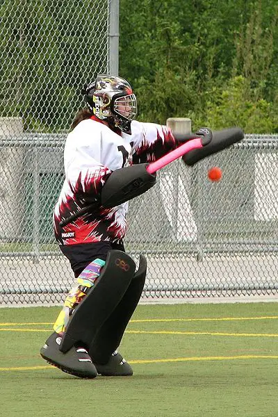 File:M060519 vit vipers-dragons 0071.JPG