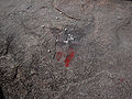 Thumbnail for version as of 18:15, 10 December 2007