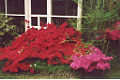 Thumbnail for version as of 02:32, 24 September 2007