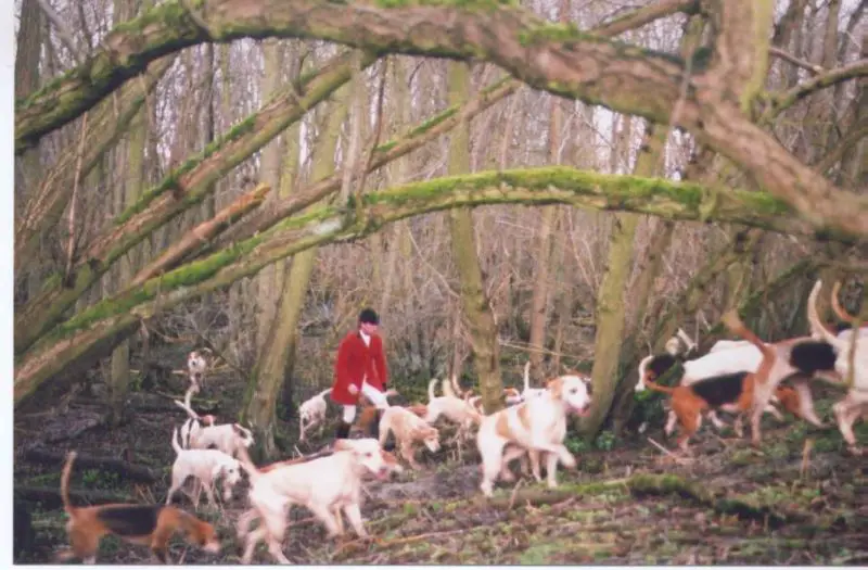File:BedaleHunt2005.jpg
