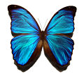 Thumbnail for version as of 19:29, 1 July 2006